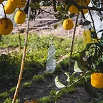 Garden - Rural I