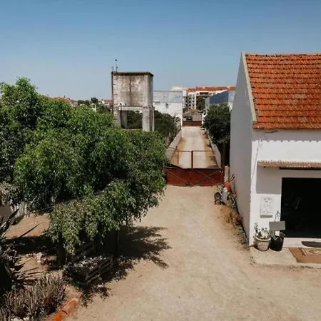 Garden - Rural I Montijo